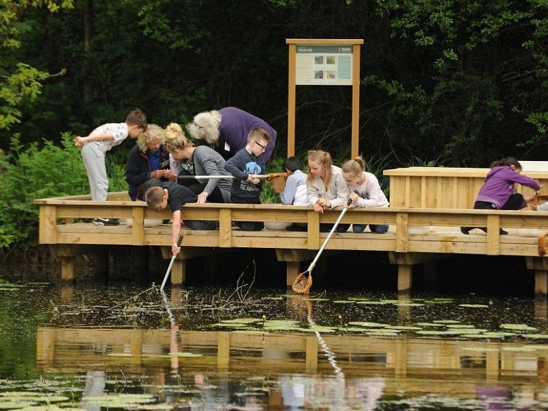Grand opening for pond dipping platform